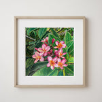 Charger l'image dans la galerie, Poster tableau tropical, fleurs de tiaré, plumeria ou frangipani, pour une déco murale poétique et exotique des îles