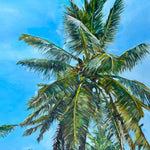 Charger l'image dans la galerie, Tableau tropical, océan et plage recouverte de palmiers, pour une déco murale exotique et dépaysante.