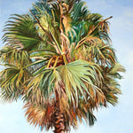 Charger l'image dans la galerie, Tableau palmier tropical et nature avec feuilles de palmier, art de la Floride aux couleurs turquoises ou feuilles de palmier séchées sur un ciel bleu de vacances pour une déco murale bord de mer et moderne