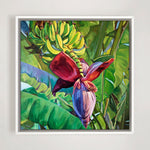 Charger l'image dans la galerie, Peinture à l’huile bananier botanique sur tableau nature d’une fleur tropicale, une toile de plante herbacée colorée bohème pour déco murale exotique.