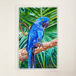 Charger l'image dans la galerie, Tableau tropical de perroquet Ara Hyacinthe, oiseau tropical bleu cobalt dans la jungle, pour une déco murale exotique et paradisiaque