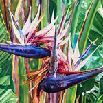 Charger l'image dans la galerie, Peinture oiseau de paradis tropical et tableau nature de Fleurs blanches de Ravenala ou arbre du voyageur, rappelant les oiseaux de paradis Strelitzia, une décoration murale bohème, vacances d’été, souvenirs des îles, exotique et chic