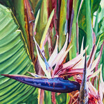 Charger l'image dans la galerie, Peinture oiseau de paradis tropical et tableau nature de Fleurs blanches de Ravenala ou arbre du voyageur, rappelant les oiseaux de paradis Strelitzia, une décoration murale bohème, vacances d’été, souvenirs des îles, exotique et chic