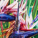 Charger l'image dans la galerie, Peinture oiseau de paradis tropical et tableau nature de Fleurs blanches de Ravenala ou arbre du voyageur, rappelant les oiseaux de paradis Strelitzia, une décoration murale bohème, vacances d’été, souvenirs des îles, exotique et chic