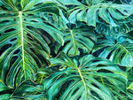 Charger l'image dans la galerie, Tableau jungle Peinture botanique feuilles exotiques de monstera