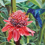 Charger l'image dans la galerie, Tableau d’oiseau exotique Colibri ou oiseaux-mouches se nourrissant d’une rose de porcelaine Etlingera, fleur des forêts tropicales des îles antilles Martinique au jardin de balata pour une déco jungle, nature et moderne