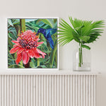 Charger l'image dans la galerie, Tableau d’oiseau exotique Colibri ou oiseaux-mouches se nourrissant d’une rose de porcelaine Etlingera, fleur des forêts tropicales des îles antilles Martinique au jardin de balata pour une déco jungle, nature et moderne