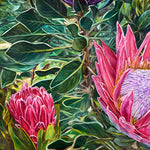 Charger l'image dans la galerie, Peinture florale tropicales Protea Tableau exotique fleurs roses