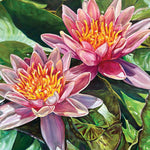 Charger l'image dans la galerie, Peinture nenuphar waterlily Tableau sur toile de paysage nature, un couple de fleurs de nénuphars s’ouvrent, pour une déco murale chic et tropicale.