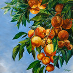Charger l'image dans la galerie, Tableau nature Fruits colorés l’Oranger en été