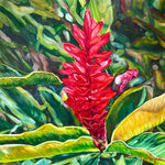 Charger l'image dans la galerie, Tableau tropical, fleur de gingembre rouge unique, pour une déco murale exotique et une ambiance tropicale et moderne.