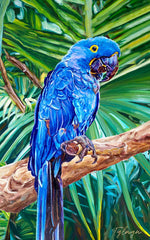 Charger l'image dans la galerie, Tableau tropical sous forme de diptyque représentant deux oiseaux exotiques : une perruche soleil et un ara hyacinthe, pour une déco murale positive ambiance jungalow moderne.