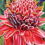 Charger l'image dans la galerie, Tableau d’oiseau exotique Colibri ou oiseaux-mouches se nourrissant d’une rose de porcelaine Etlingera, fleur des forêts tropicales des îles antilles Martinique au jardin de balata pour une déco jungle, nature et moderne