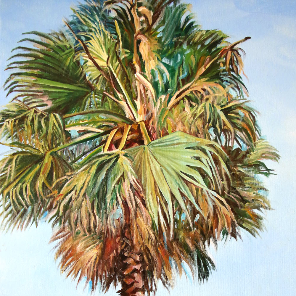Tableau palmier tropical et nature avec feuilles de palmier, art de la Floride aux couleurs turquoises ou feuilles de palmier séchées sur un ciel bleu de vacances pour une déco murale bord de mer et moderne