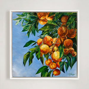 Tableau nature Fruits colorés l’Oranger en été