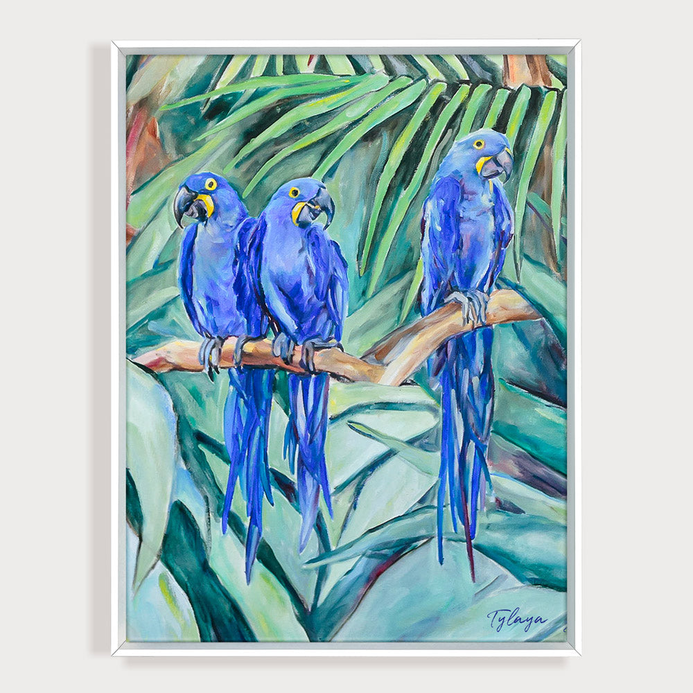 Peinture poster jungle de perroquets ara hyacinthe dans la jungle entre les feuilles de palmiers vertes et bleus multicolores.