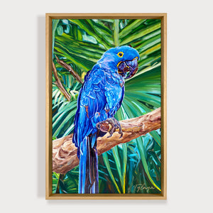 Tableau Peinture Oiseaux tropicaux Perroquet Ara Hyacinthe