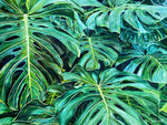Charger l&#39;image dans la galerie, Tableau jungle Peinture botanique feuilles exotiques de monstera
