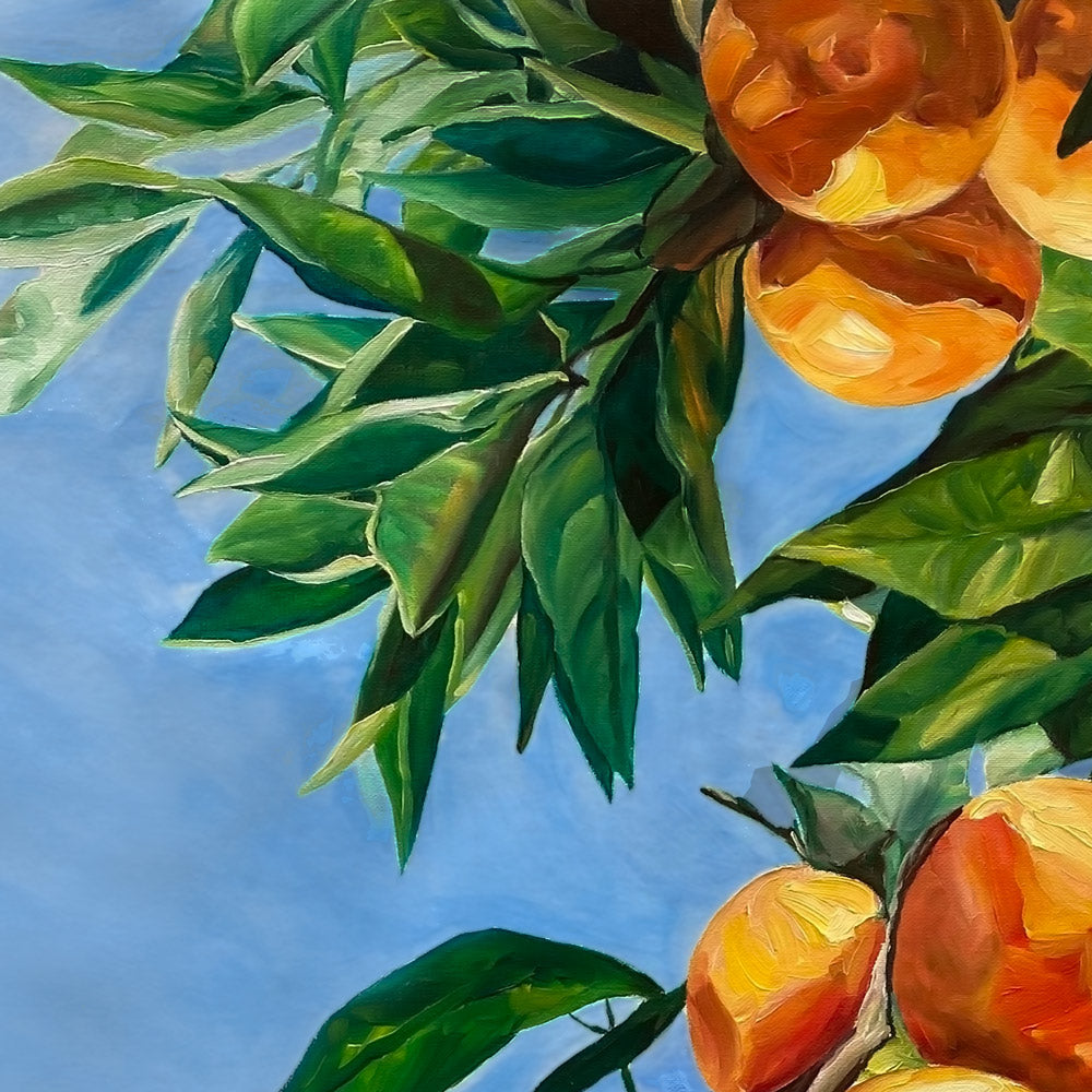 Tableau nature Fruits colorés l’Oranger en été