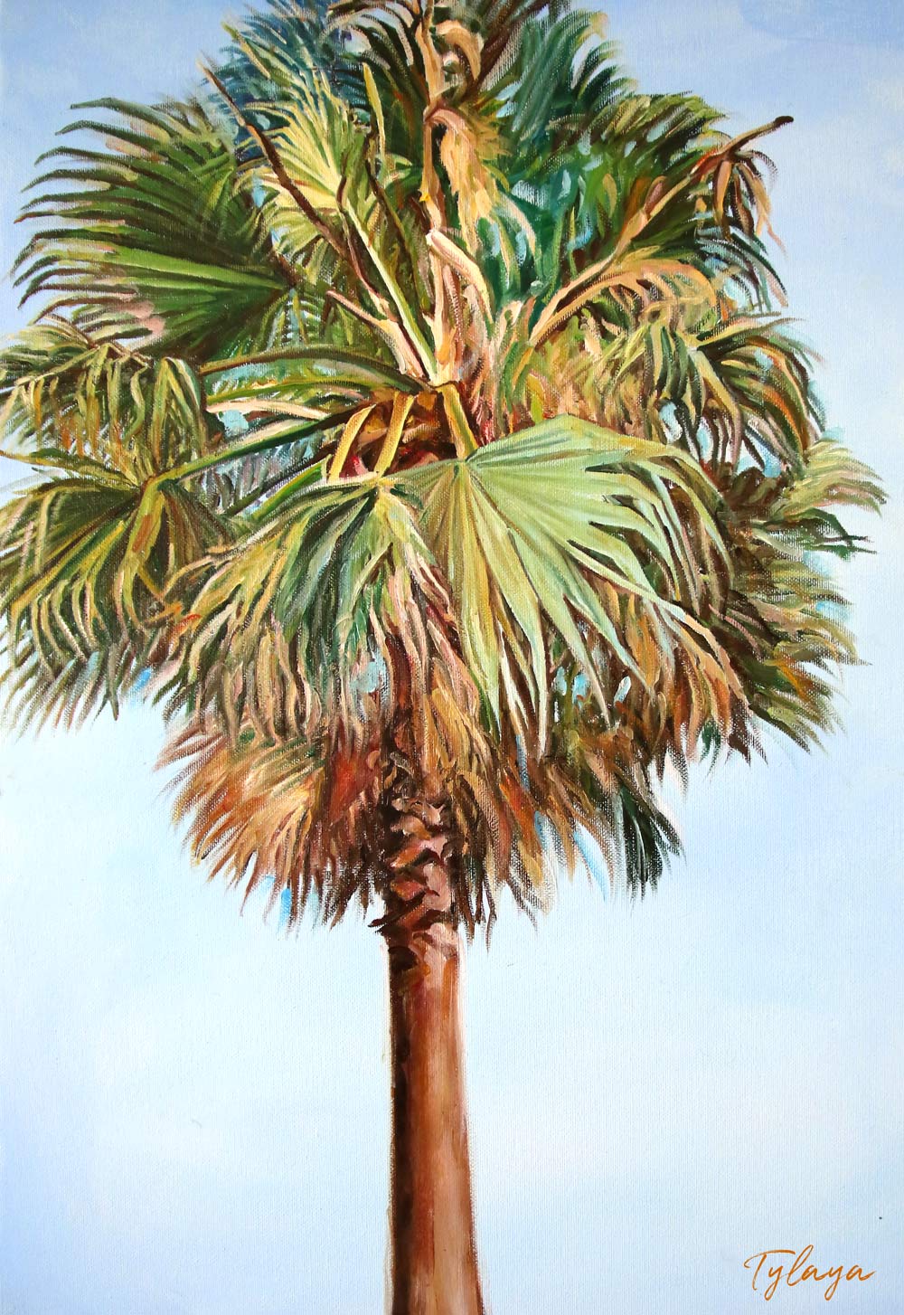 Tableau palmier tropical et nature avec feuilles de palmier, art de la Floride aux couleurs turquoises ou feuilles de palmier séchées sur un ciel bleu de vacances pour une déco murale bord de mer et moderne