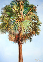 Charger l&#39;image dans la galerie, Tableau palmier tropical et nature avec feuilles de palmier, art de la Floride aux couleurs turquoises ou feuilles de palmier séchées sur un ciel bleu de vacances pour une déco murale bord de mer et moderne
