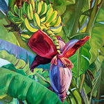 Charger l&#39;image dans la galerie, Tableau tropical et nature d’une fleur de bananier, une peinture de plante herbacée colorée, décorative et moderne pour déco murale exotique

