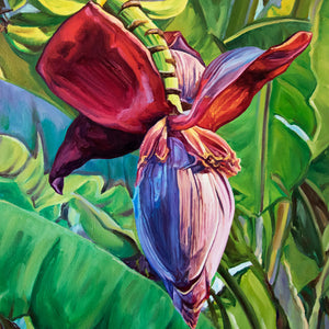Tableau tropical et nature d’une fleur de bananier, une peinture de plante herbacée colorée, décorative et moderne pour déco murale exotique