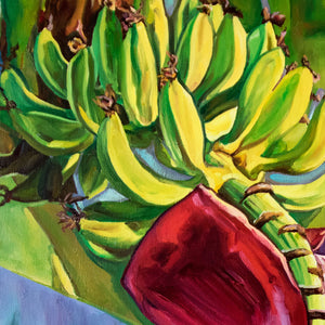 Tableau tropical et nature d’une fleur de bananier, une peinture de plante herbacée colorée, décorative et moderne pour déco murale exotique